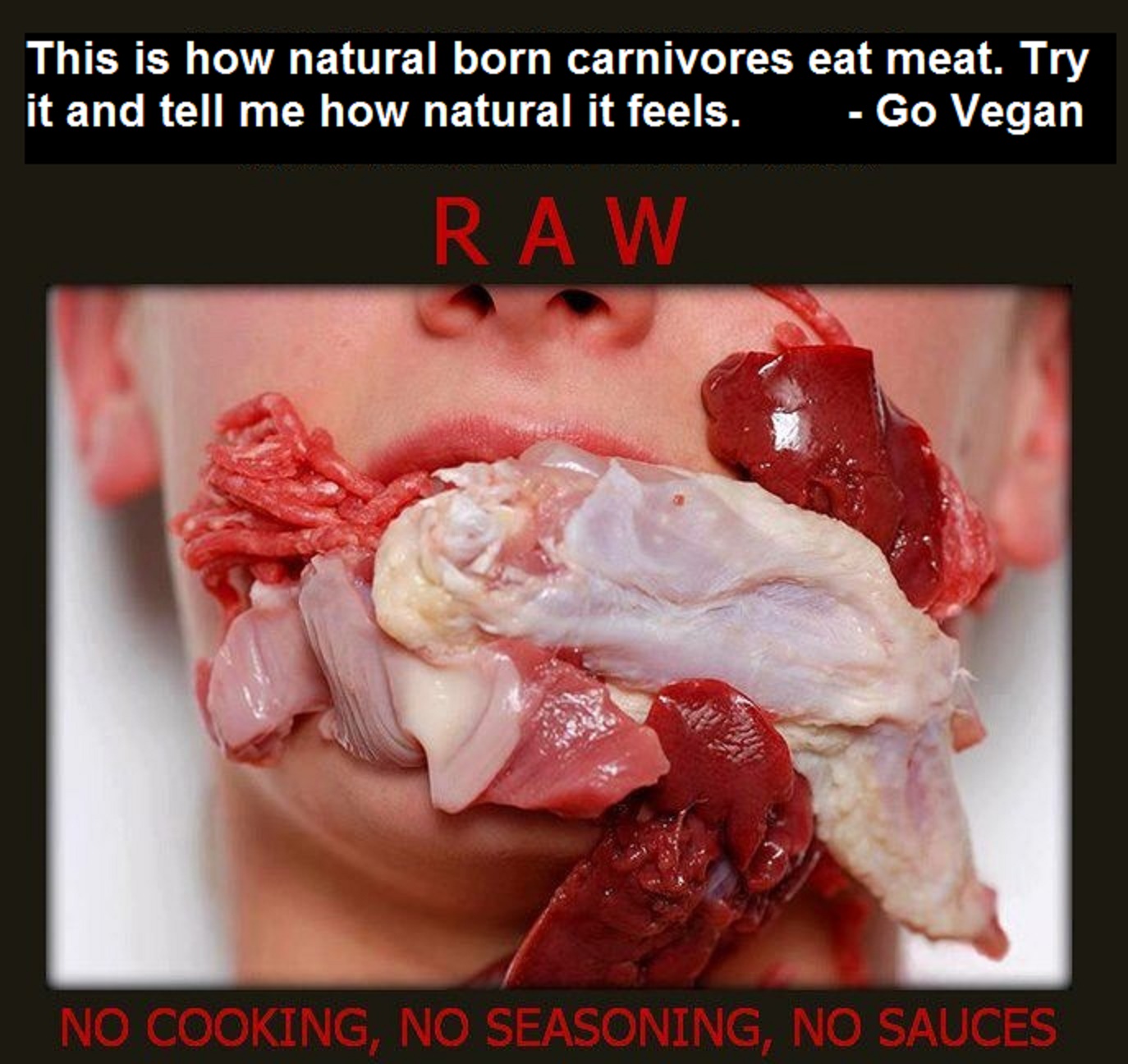 This is how natural born carnivores eat meat. Try it and tell me how natural it feels. - Go Vegan